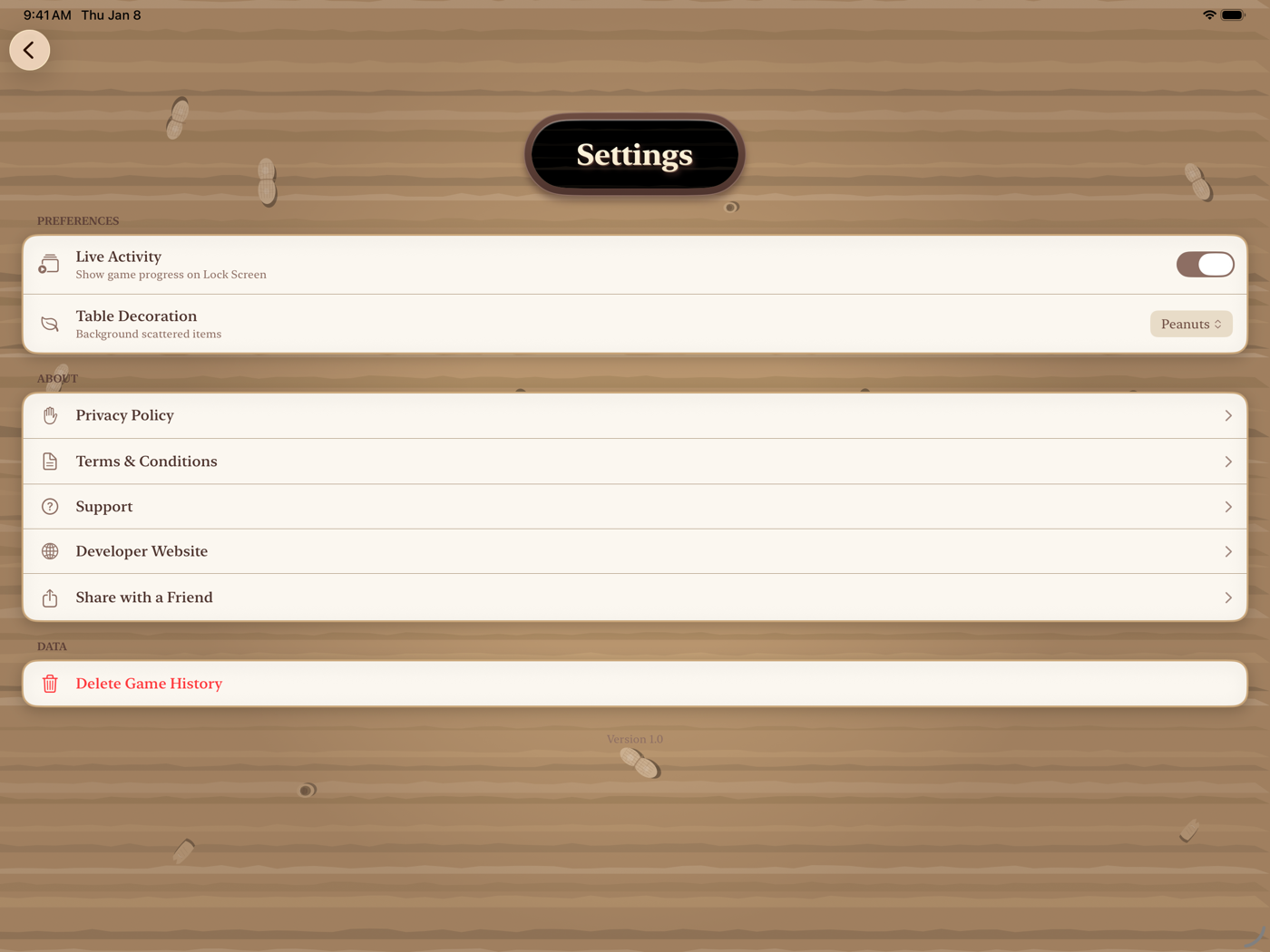 Settings on iPad