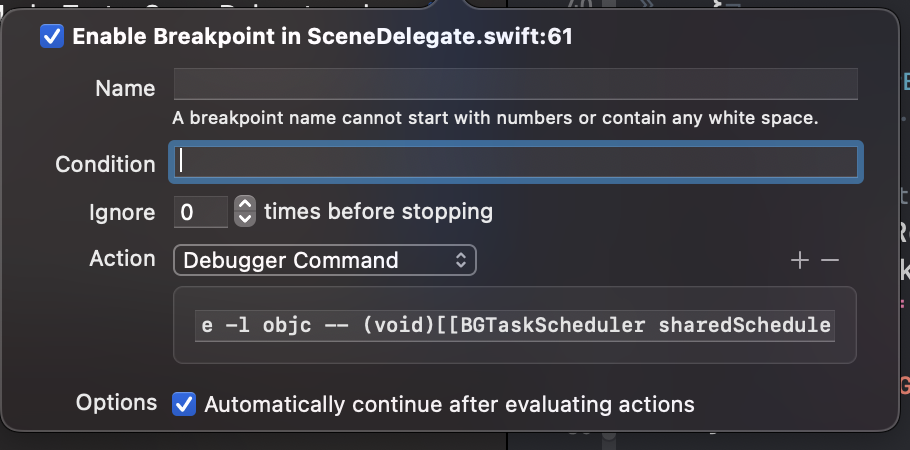 Secondary window, editing a breakpoint with options to complete actions and continue running app